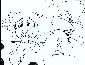 misc 005.jpg
